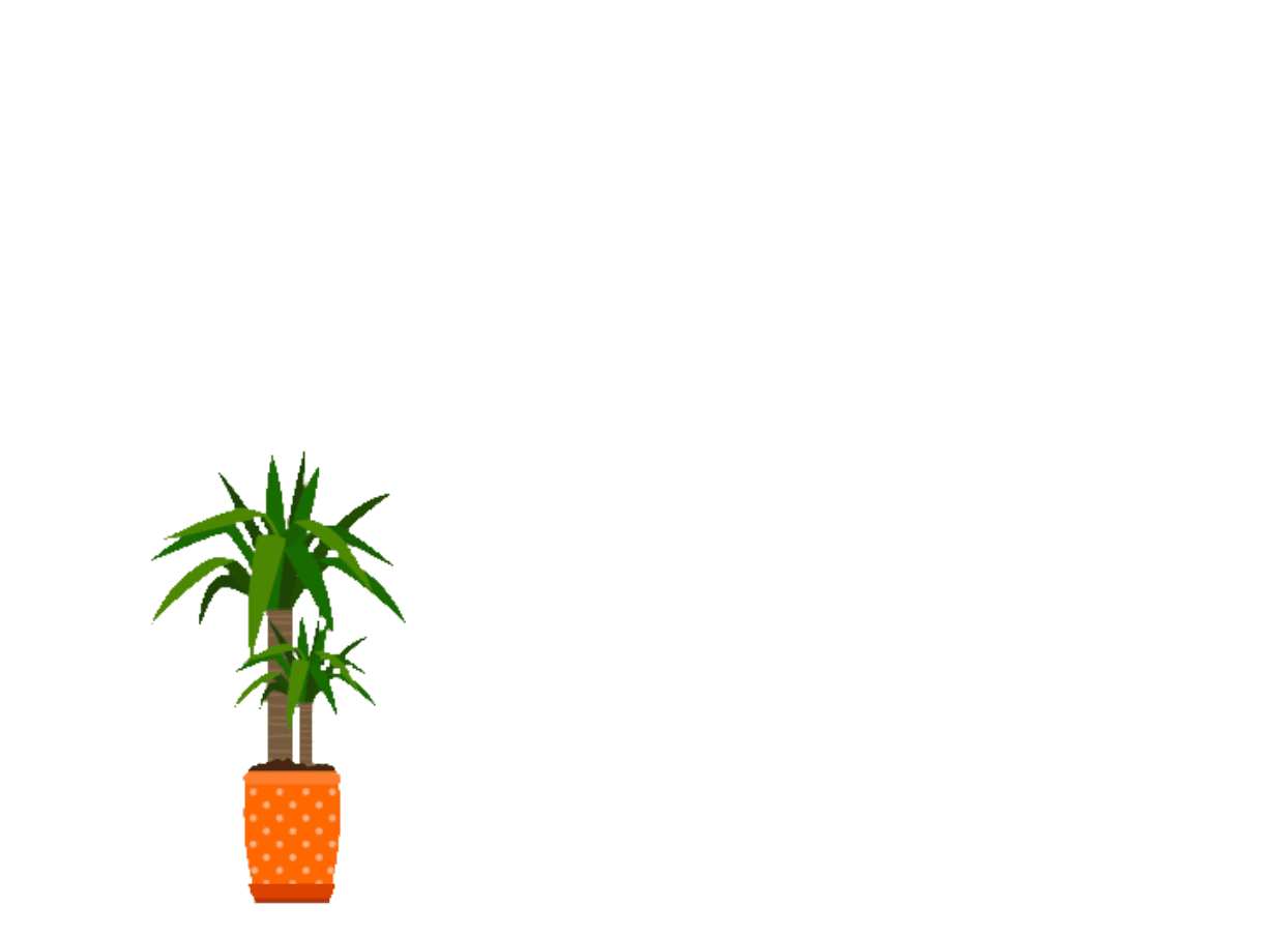 plante